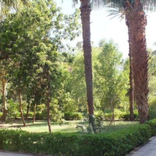8 Day Lake Nasser Cruise Tour