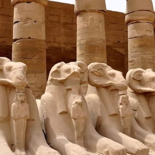 8 Day Lake Nasser Cruise Tour