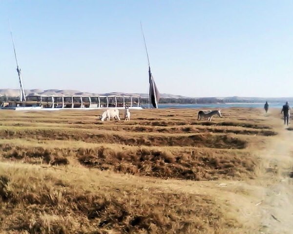 5 Day Dahabeya Cruise from Luxor