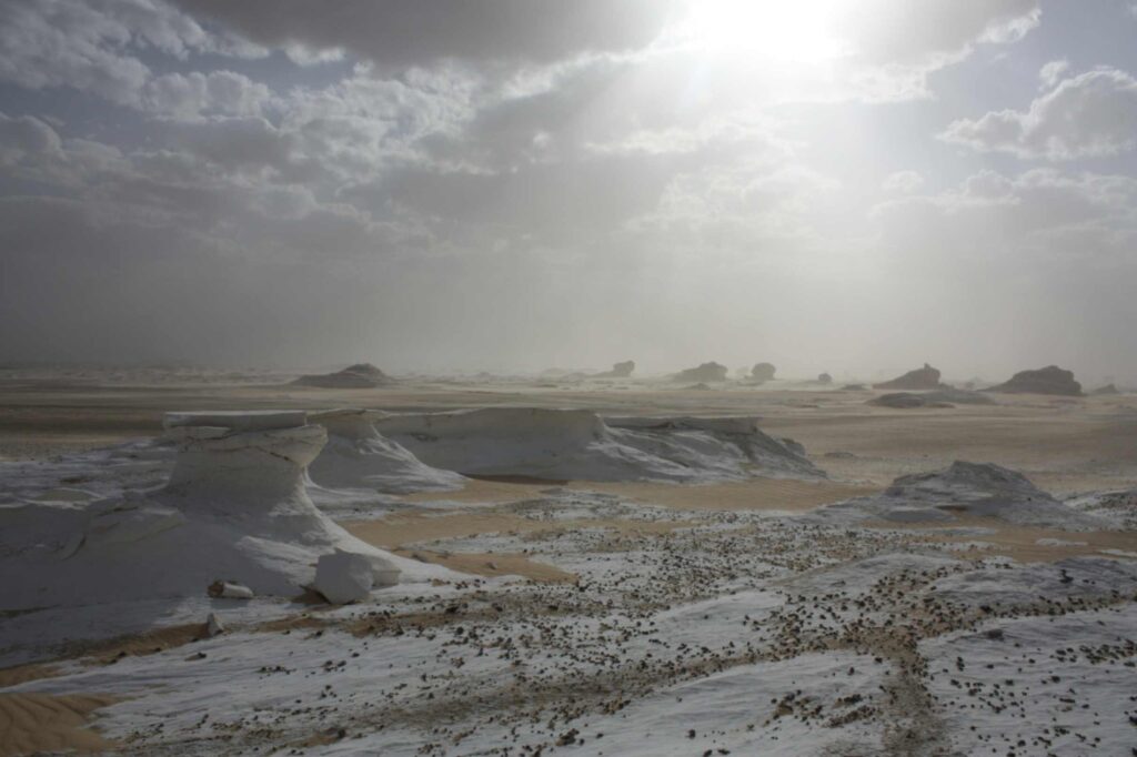 11 Day Egypt Desert Tour