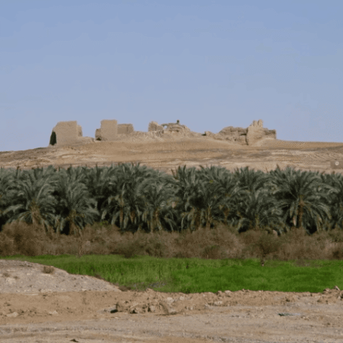 5 Day Egypt Oases Tour