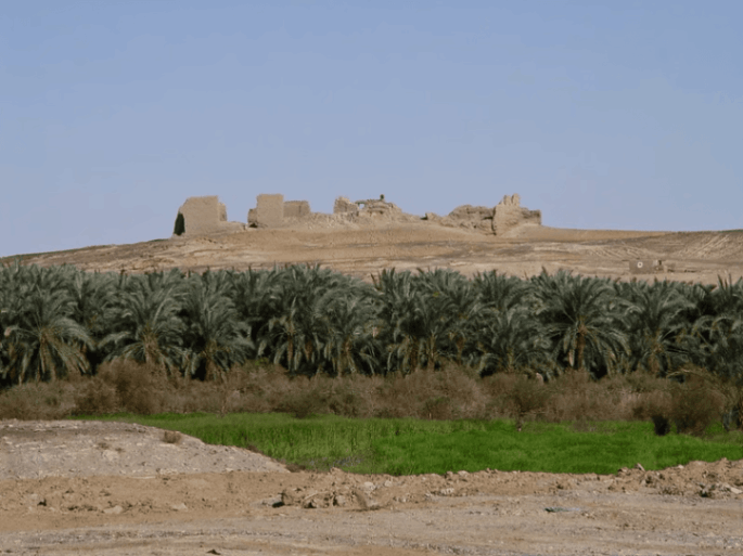 5 Day Egypt Oases Tour
