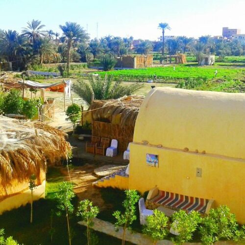 5 Day Fayoum Minya Tour