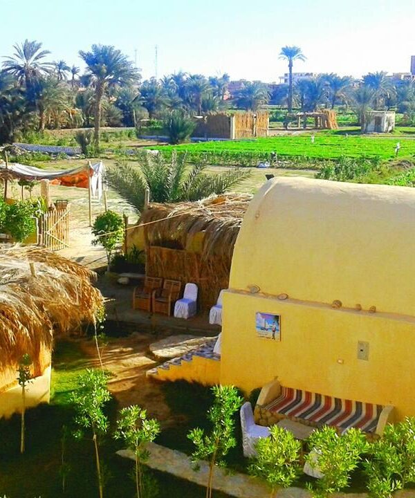 5 Day Fayoum Minya Tour