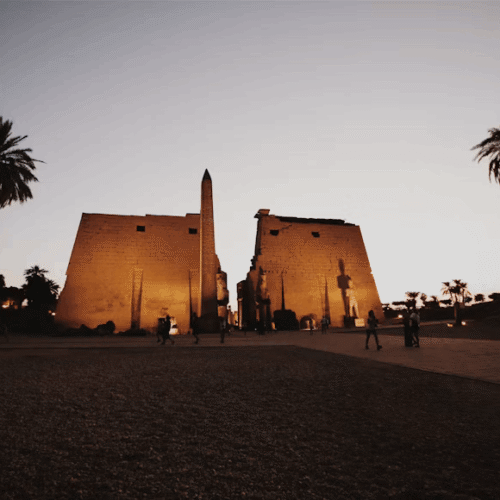 10 Day Lake Nasser Cruise Tour