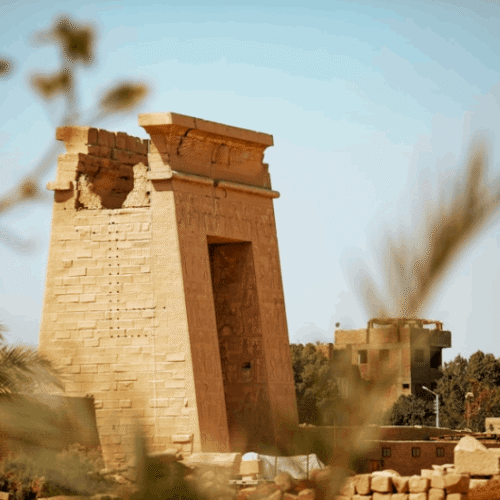 11 Day Egypt Desert Tour