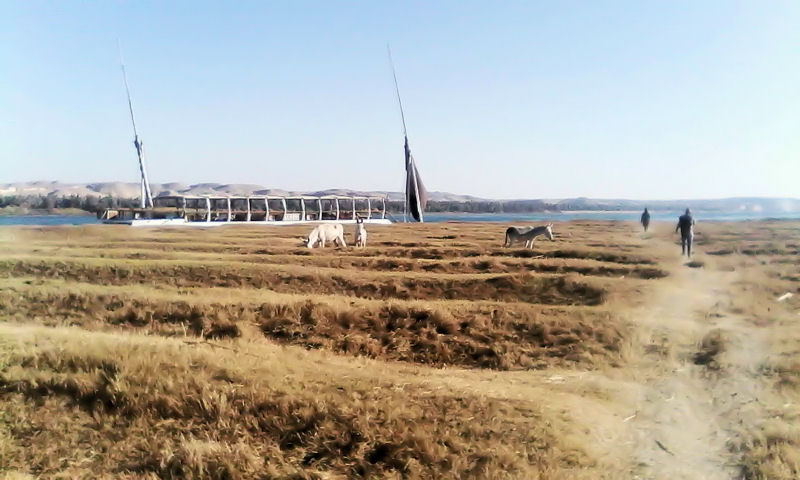 5 Day Felucca Cruise from Aswan